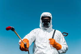 Best Pest Prevention Services  in Temecula, CA